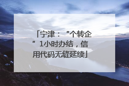 宁津：“个转企”1小时办结，信用代码无缝延续