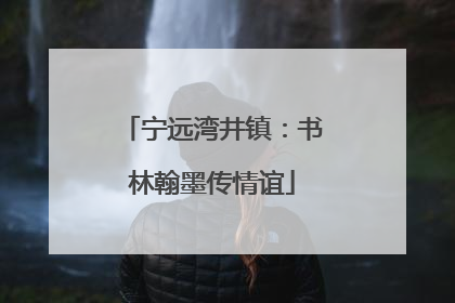 宁远湾井镇：书林翰墨传情谊