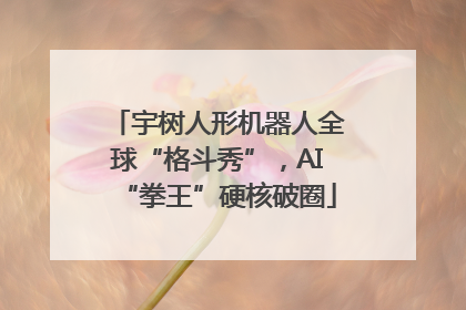 宇树人形机器人全球“格斗秀”，AI“拳王”硬核破圈