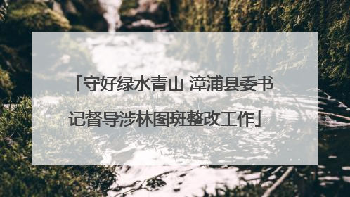 守好绿水青山 漳浦县委书记督导涉林图斑整改工作