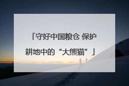 守好中国粮仓 保护耕地中的“大熊猫”