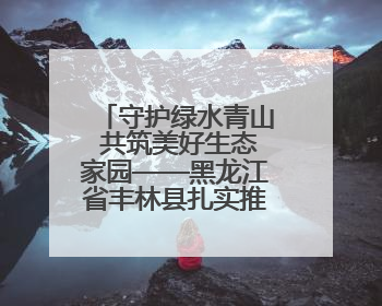 守护绿水青山 共筑美好生态家园——黑龙江省丰林县扎实推进生物多样性保护工作