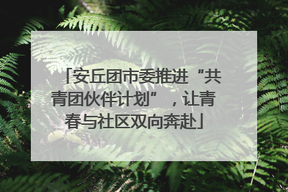 安丘团市委推进“共青团伙伴计划”，让青春与社区双向奔赴