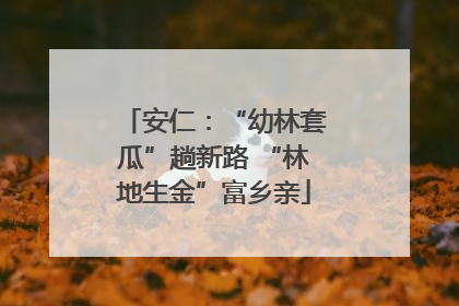 安仁：“幼林套瓜”趟新路 “林地生金”富乡亲