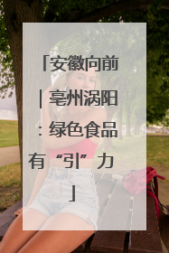 安徽向前｜亳州涡阳：绿色食品有“引”力
