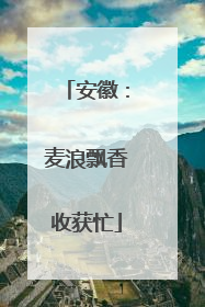 安徽：麦浪飘香收获忙