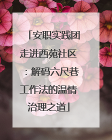 安职实践团走进西苑社区：解码六尺巷工作法的温情治理之道