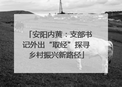 安阳内黄：支部书记外出“取经”探寻乡村振兴新路径