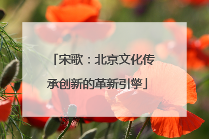 宋歌：北京文化传承创新的革新引擎