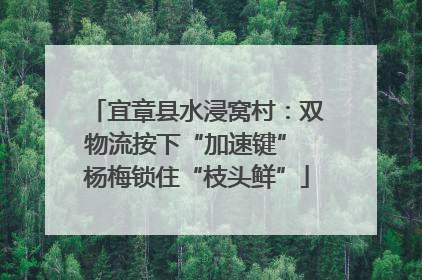 宜章县水浸窝村：双物流按下“加速键” 杨梅锁住“枝头鲜”