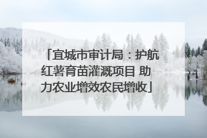 宜城市审计局：护航红薯育苗灌溉项目 助力农业增效农民增收