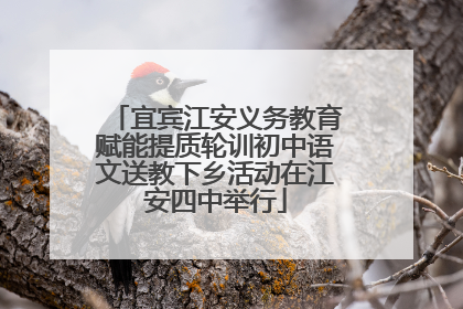 宜宾江安义务教育赋能提质轮训初中语文送教下乡活动在江安四中举行