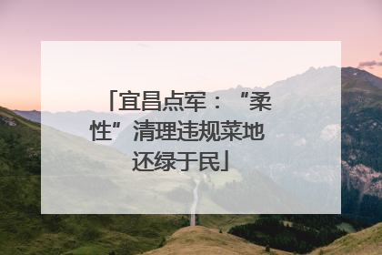 宜昌点军：“柔性”清理违规菜地 还绿于民