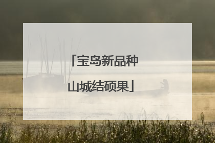 宝岛新品种 山城结硕果
