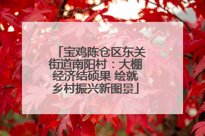 宝鸡陈仓区东关街道南阳村：大棚经济结硕果 绘就乡村振兴新图景