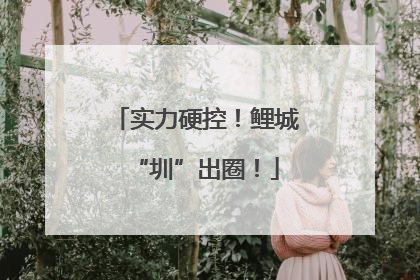 实力硬控！鲤城“圳”出圈！