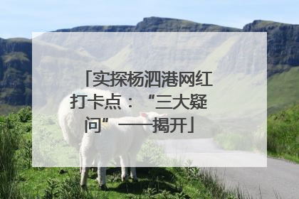 实探杨泗港网红打卡点：“三大疑问”一一揭开