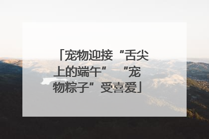 宠物迎接“舌尖上的端午” “宠物粽子”受喜爱