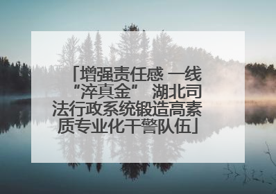 增强责任感 一线“淬真金” 湖北司法行政系统锻造高素质专业化干警队伍