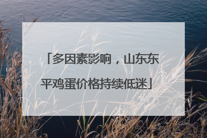 多因素影响，山东东平鸡蛋价格持续低迷