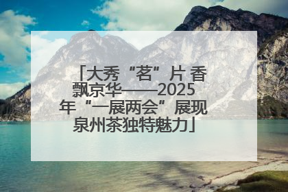 大秀“茗”片 香飘京华——2025年“一展两会”展现泉州茶独特魅力