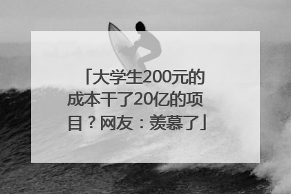 大学生200元的成本干了20亿的项目？网友：羡慕了