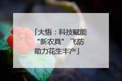 大悟：科技赋能“新农具” 飞防助力花生丰产