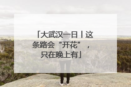 大武汉一日丨这条路会“开花”，只在晚上有