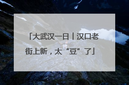大武汉一日︱汉口老街上新，太“豆”了