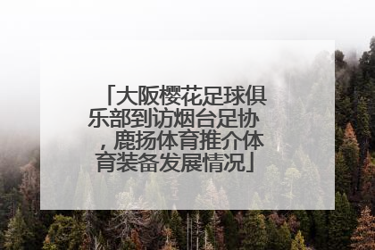 大阪樱花足球俱乐部到访烟台足协，鹿扬体育推介体育装备发展情况