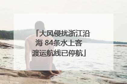 大风侵扰浙江沿海 84条水上客渡运航线已停航