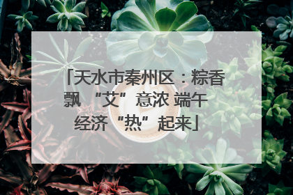 天水市秦州区：粽香飘 “艾”意浓 端午经济“热”起来