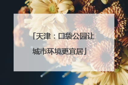 天津：口袋公园让城市环境更宜居
