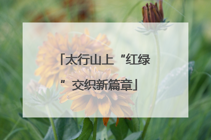 太行山上“红绿”交织新篇章