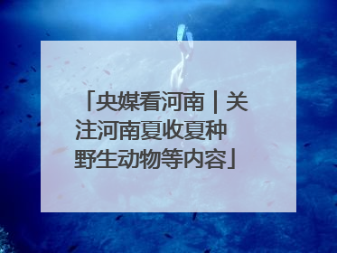 央媒看河南｜关注河南夏收夏种 野生动物等内容