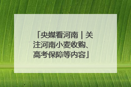 央媒看河南｜关注河南小麦收购、高考保障等内容