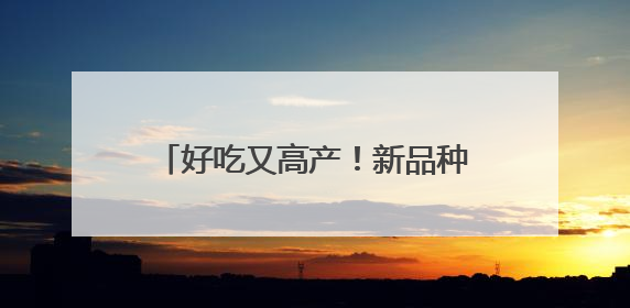 好吃又高产！新品种为安徽蔬菜产业高质发展注入科技动能