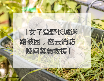 女子登野长城迷路被困，密云消防晚间紧急救援