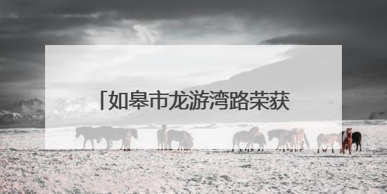 如皋市龙游湾路荣获全国最具人气的路