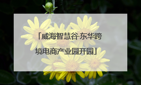 威海智慧谷·东华跨境电商产业园开园