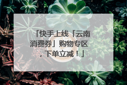 快手上线「云南消费券」购物专区，下单立减！