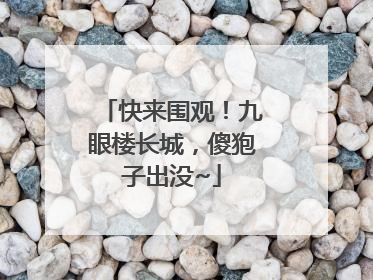 快来围观！九眼楼长城，傻狍子出没~