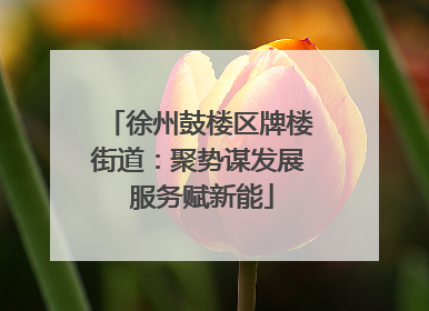 徐州鼓楼区牌楼街道：聚势谋发展 服务赋新能