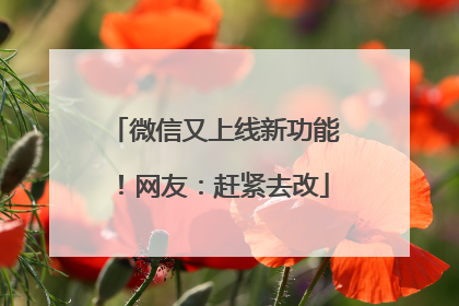 微信又上线新功能！网友：赶紧去改