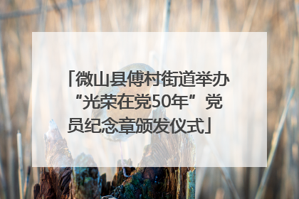 微山县傅村街道举办“光荣在党50年”党员纪念章颁发仪式