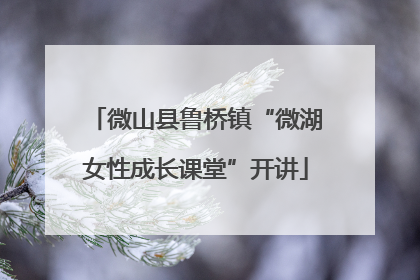 微山县鲁桥镇“微湖女性成长课堂”开讲