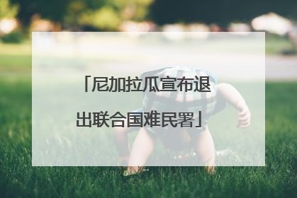 尼加拉瓜宣布退出联合国难民署