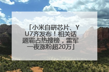 小米自研芯片、YU7齐发布！相关话题霸占热搜榜，雷军一夜涨粉超20万