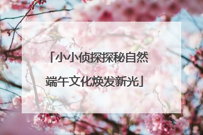 小小侦探探秘自然 端午文化焕发新光