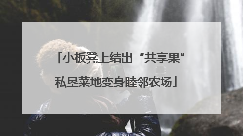 小板凳上结出“共享果” 私垦菜地变身睦邻农场